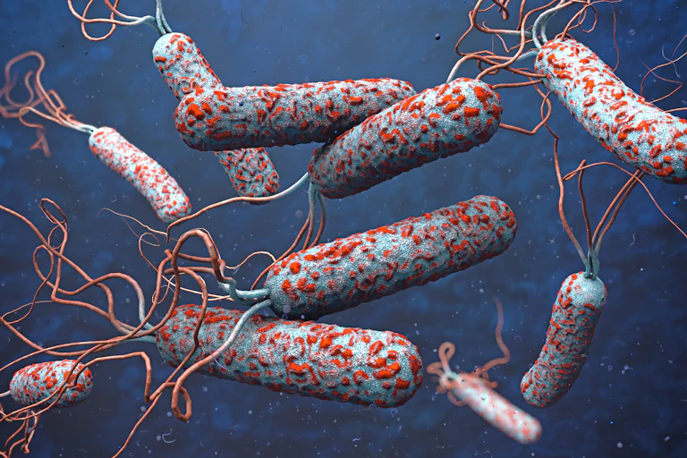 An illustration of the cholera virus.