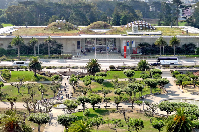 Un edificio con el techo cubierto de hierba.