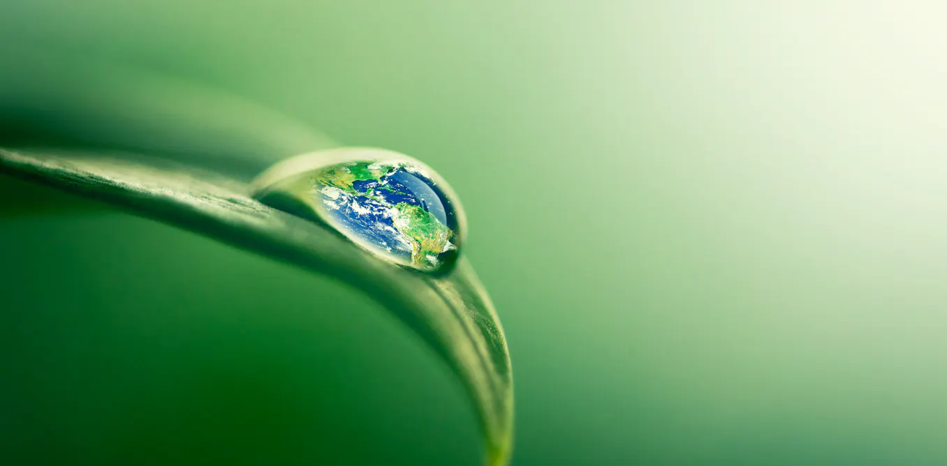 Les Humains N taient Pas Les Premiers Ing nieurs M decins Et les-humains-n-taient-pas-les-premiers-ing-nieurs-m-decins-et