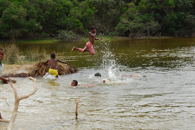 A group of children swimming