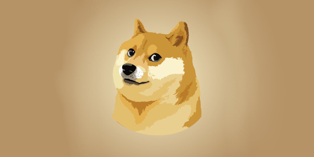 doge background