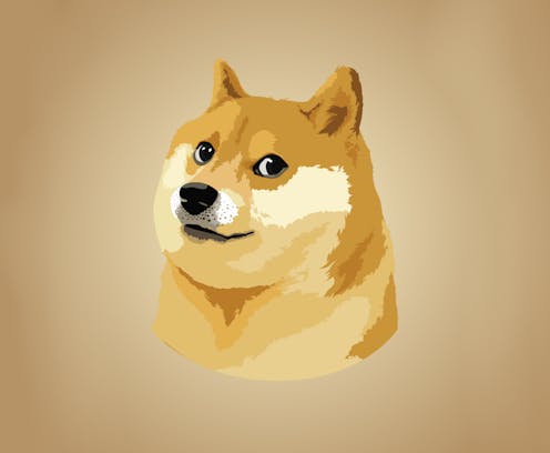 what the revival of the ancient doge meme tells us about the lifecycle of the internet