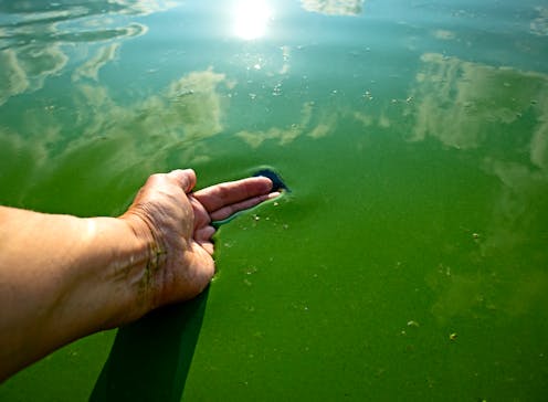 Floods of nutrients from fertilisers and wastewater trash our rivers. Could offsetting help?