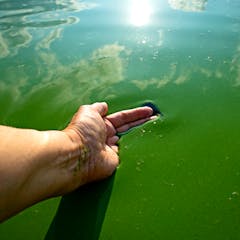 recent research on wastewater treatment