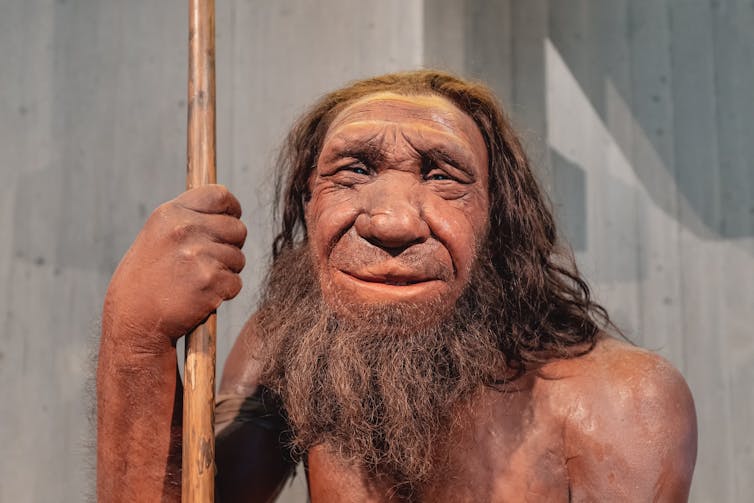 Reconstrucción de un hombre de Neandertal.