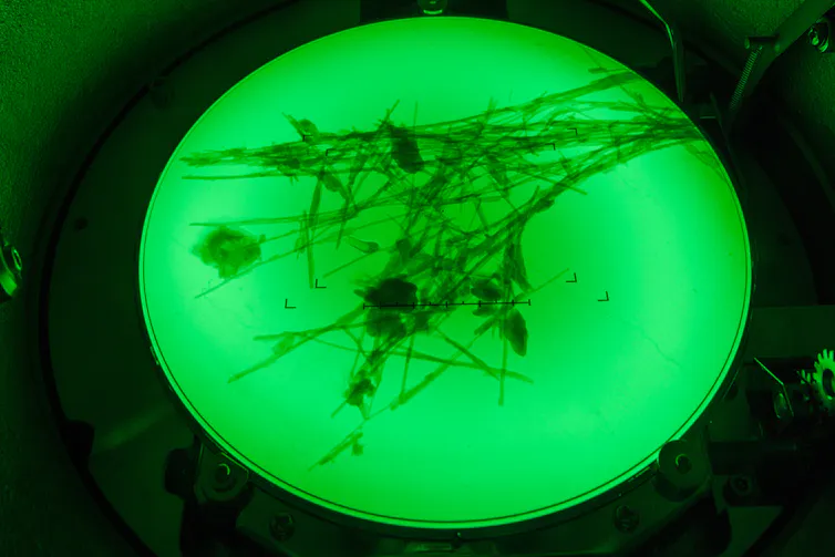 Fibre d’amiante au microscope électronique