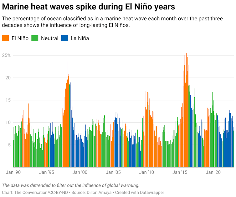 A chart showing the percentage of ocean classified as in a marine heat wave from January 1990 to January 2023. The data also shows whether it is an El Niño year, a La Niña year or a neutral year.
