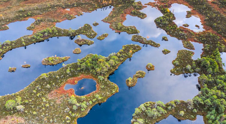 A wetland photographed from above.