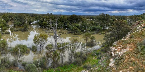 Victoria’s plans for engineered wetlands on the Murray are environmentally dubious. Here’s a better option