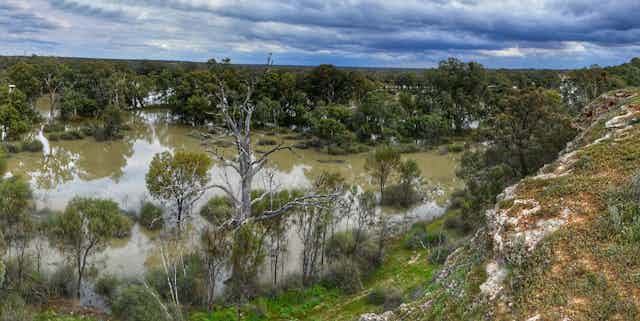 murray river in flood
