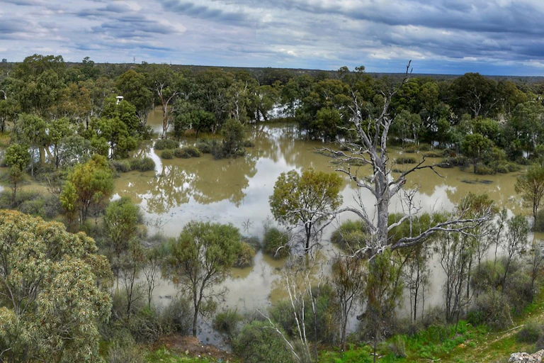 murray river in flood