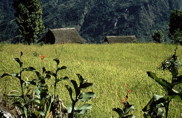 Photo d’un champ vert aux abords d’une habitation dont on aperçoit les toits, avec les montagnes en arrière-plan