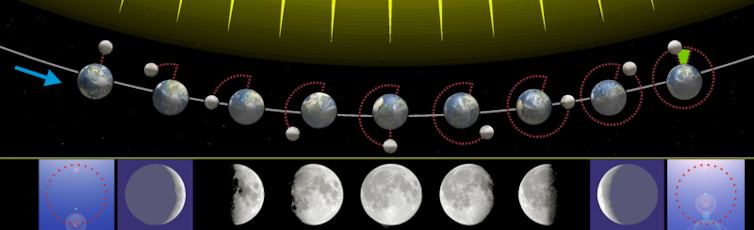 A diagram showing how orientations of the Moon correspond to phases of the Moon.