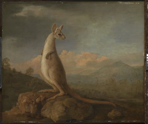 why the first European paintings of Australian animals look so alien to our eyes