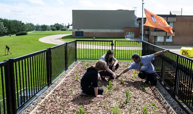 Three people seen kneeling over small plants in a garden next to an orange flag.