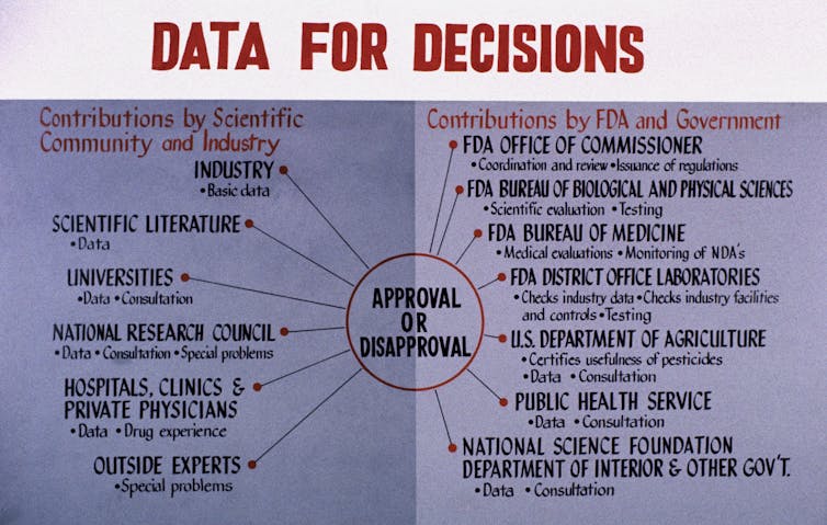 Chart titled'Data for Decisions' depicting sources the FDA considers in its decision-making