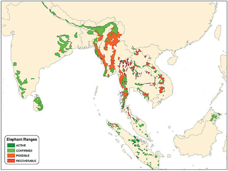 Map showing active, possible and potential elephant range across Asia.