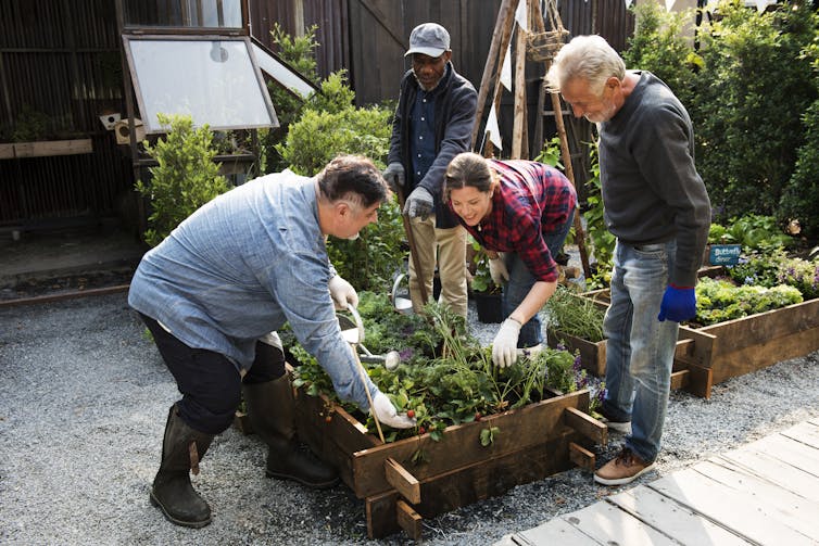 A group of people gardening.