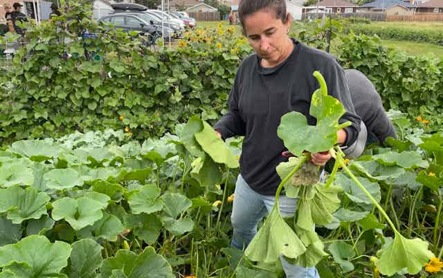 A woman standing in a garden holds a harvested squash in her hand.