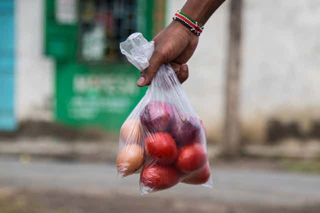 Onions, tomatoes and eggs in clear plastic bags