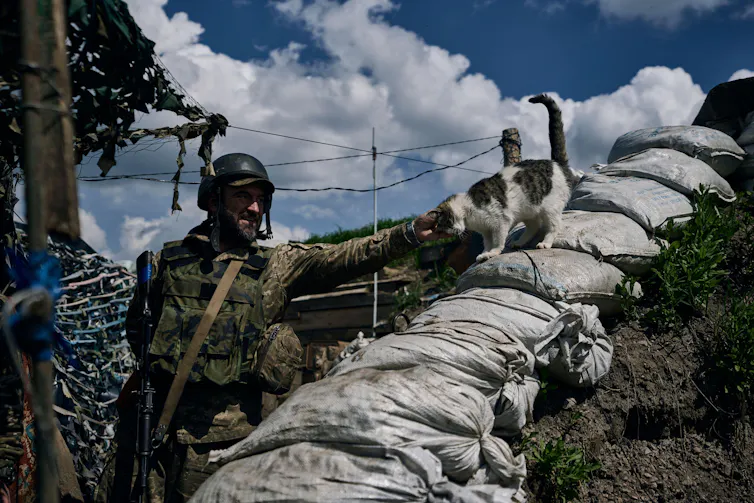 A Ukrainian soldier strokes a cat which is sitting on top of a wall of sandbags