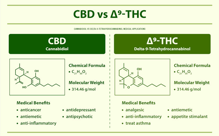 Ilustración de la fórmula química y la composición estructural del CBD frente al THC delta9.