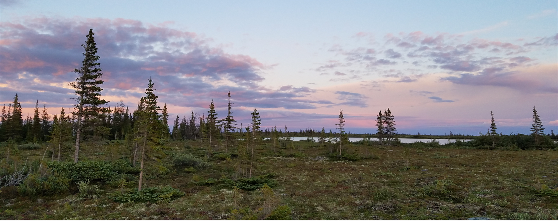 How Climate Change Is Impacting The Hudson Bay   File 20230426 248 6s2zp 