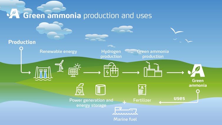 graphic showing the production and uses of green ammonia