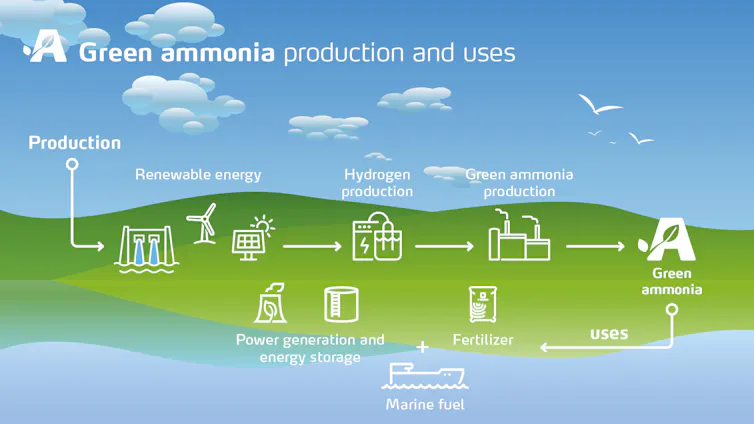 graphic showing the production and uses of green ammonia