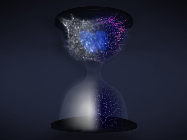 Illustration depiecting superresolution over time as an hourglass, where the bottom shows a protein and the top a dividing cell going from unresolved to resolved