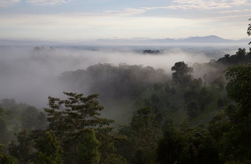 Restoring forests often falls to landholders. Here's how to do it cheaply and well