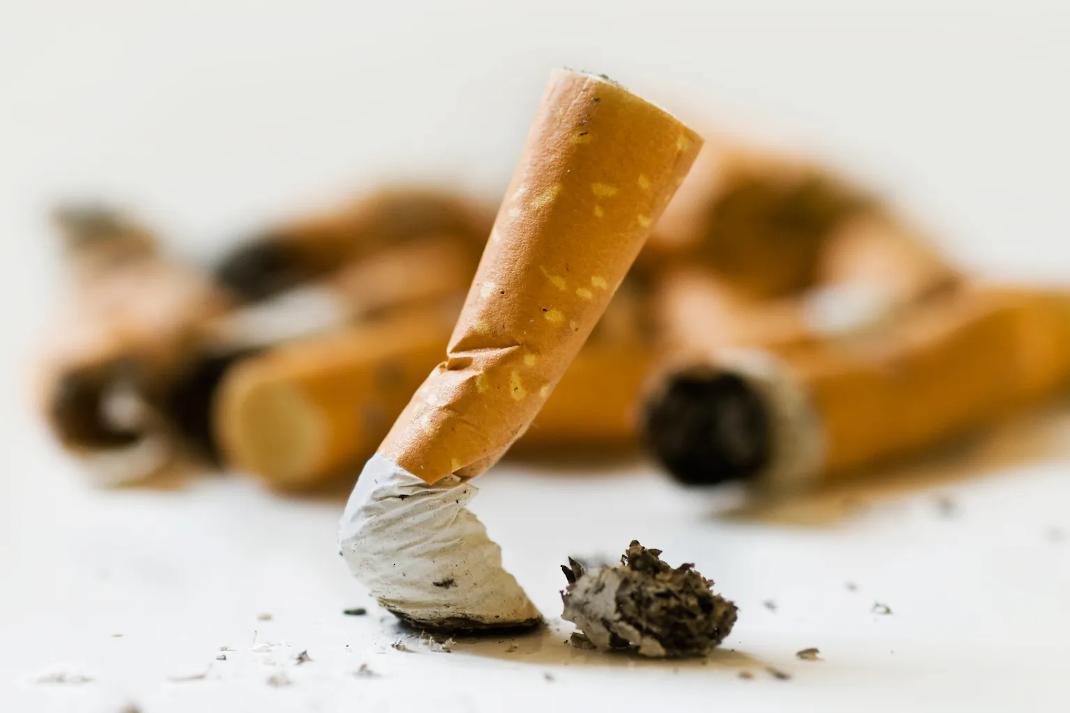 camels cigarettes types From the archive, 2 June 1965: Southern US states clash with tobacco company | Tobacco industry camels cigarettes types From the archive, 2 June 1965: Southern US states clash with tobacco company | Tobacco industry