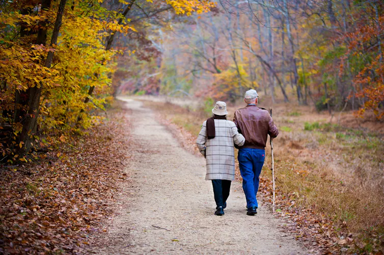 Couple marchant dans la forêt