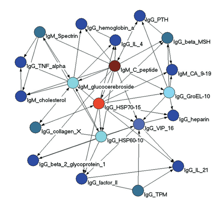 des ronds reliés par des flèches