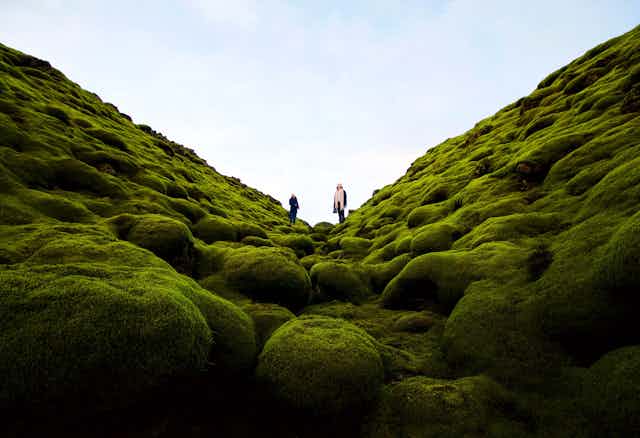 An undulating landscape of moss with two people standing in it looking at the sky