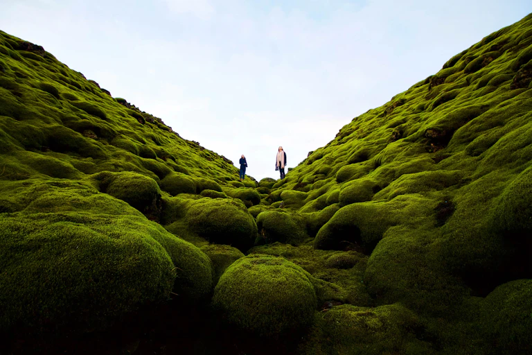 An undulating landscape of moss with two people standing in it looking at the sky