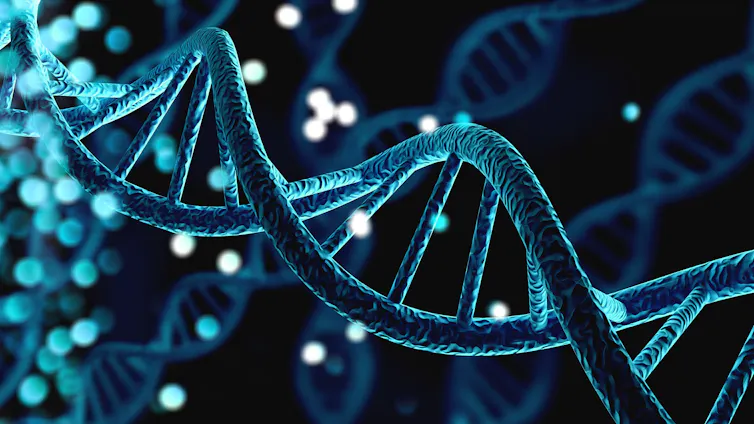 DNA double helix