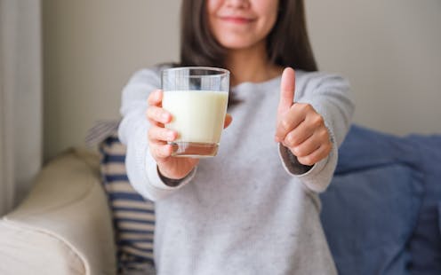Por qué somos la única especie que toma leche en la edad adulta? - La  Prensa Gráfica