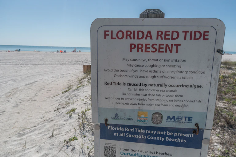 A sign at the entrance to an empty beach warns of red tide.
