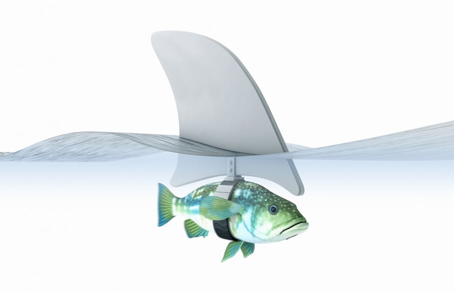 Computer graphic of small fish wearing big shark fin.