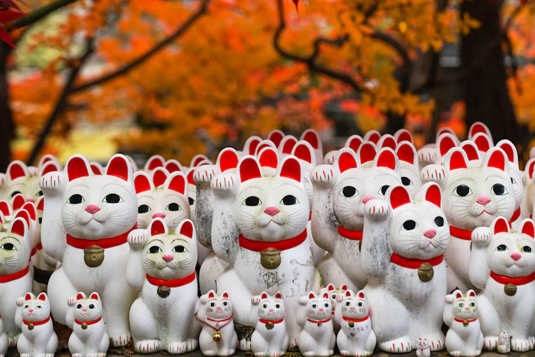 Maneki-neko statues with Autumn Leaves