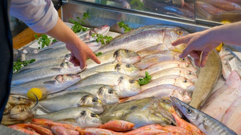 Wild-caught seafood is often untraceable – and some industry players don't want that to change. Here's why