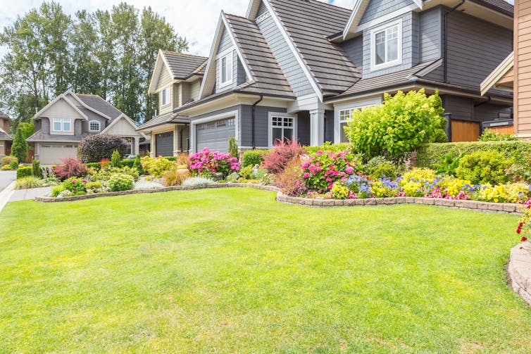 A well-manicured garden with a row of houses in the background.