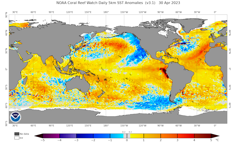 sea surface temperature