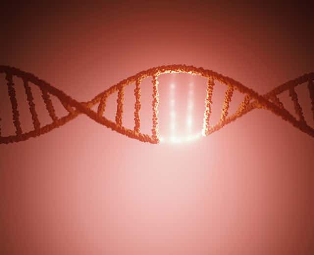 Illustration of red DNA helix with one segment illuminated in white