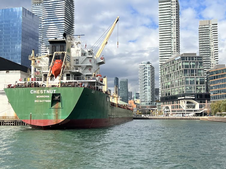 a ship docks at a downtown harbour in Toronto