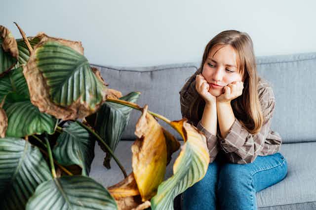 A woman looking at the dead foliage of her houseplant Calathea.