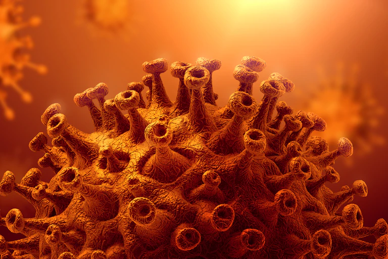 A close-up illustration of SARS-CoV-2, the virus that causes COVID-19.
