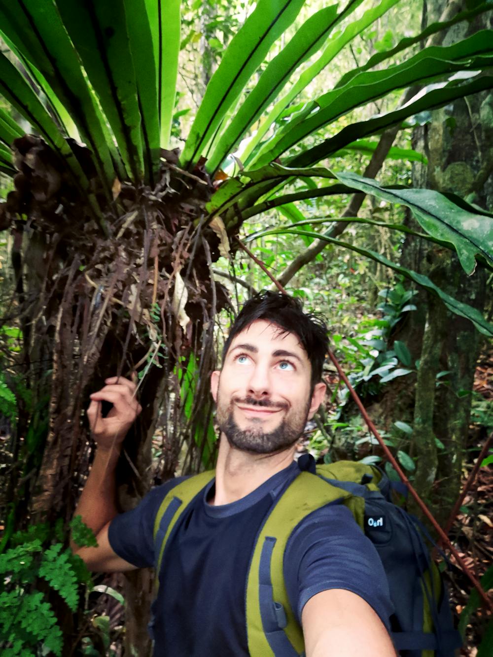 Learn to think like a plant: five expert tips on keeping your
