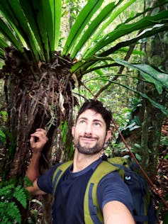 The author with a wild bird's-nest-fern in the jungle.